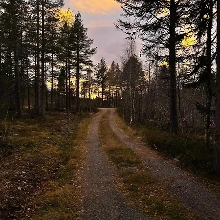 Tronstadbu- 1800s Near Geirangerfjord & Slogen Hike Hellesylt