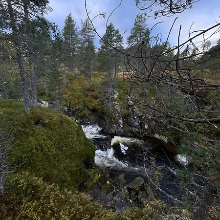 Tronstadbu- 1800s Near Geirangerfjord & Slogen Hike * Hellesylt