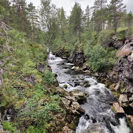 Tronstadbu- 1800s Near Geirangerfjord & Slogen Hike * Hellesylt